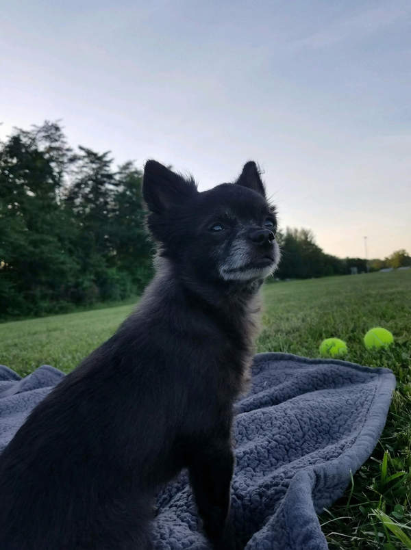 Luna