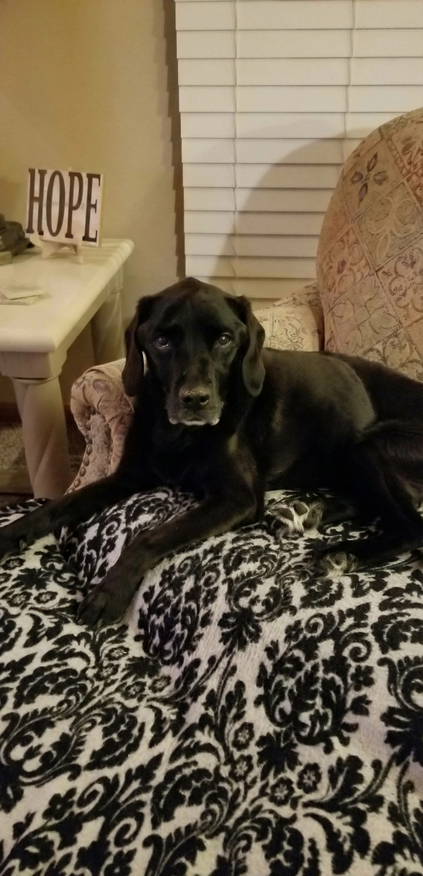 Missy