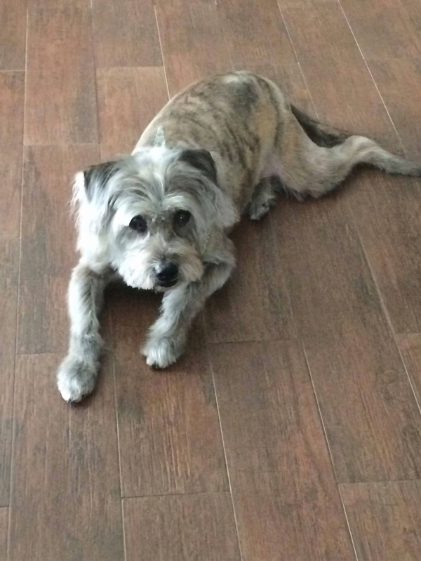 Max