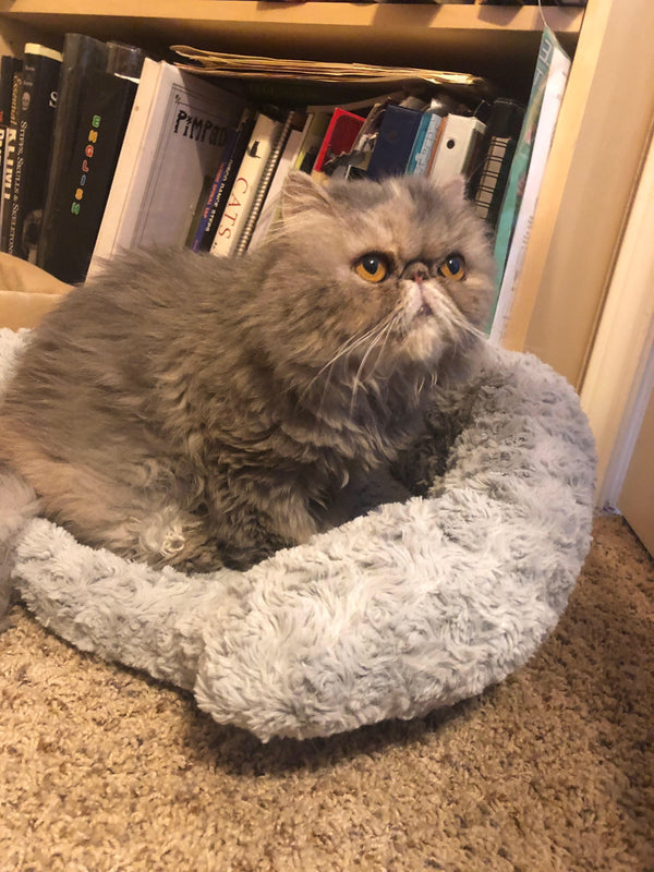 Tilla